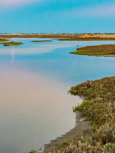 Mexiko: Baja California Sur - unbekanntes Naturparadies