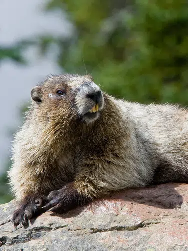 USA und Kanada: Höhepunkte der Ostküste
