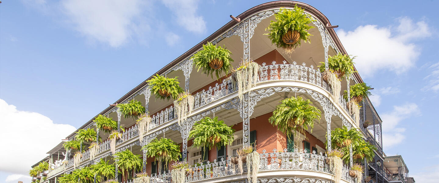 Ostküsten-Entdecker Ostküsten-Entdecker