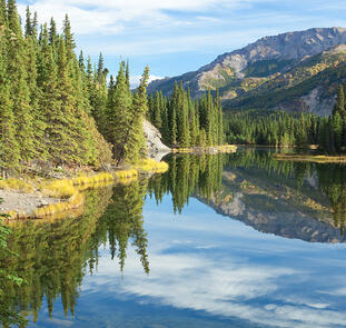 Glanzlichter Alaska und Yukon Glanzlichter Alaska und Yukon
