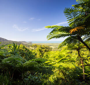 Zwischen Ozean & Outback