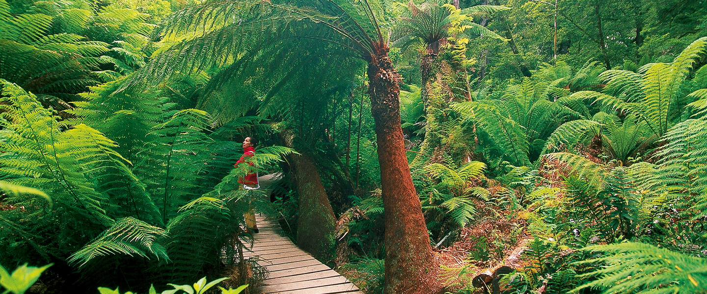 Umfassendes Australien Umfassendes Australien