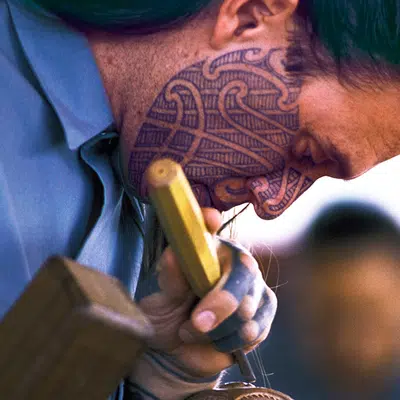 Neuseeland einmal anders erleben