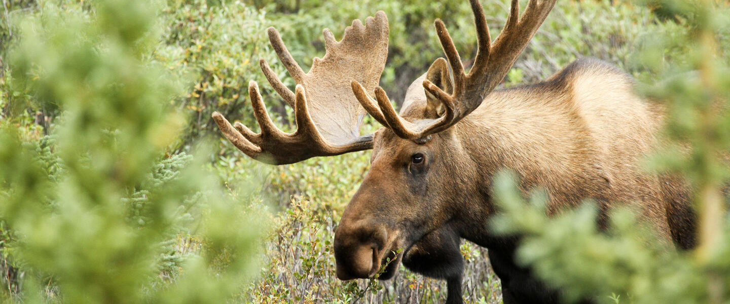 Traumhaftes Südschweden