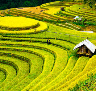 Anantara Mui Né Resort & Spa, Mui Né