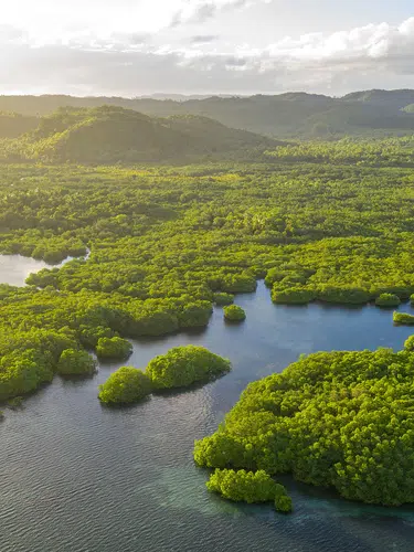 Abenteuer Amazonas
