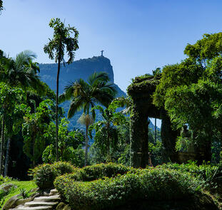 Rio intensiv erleben