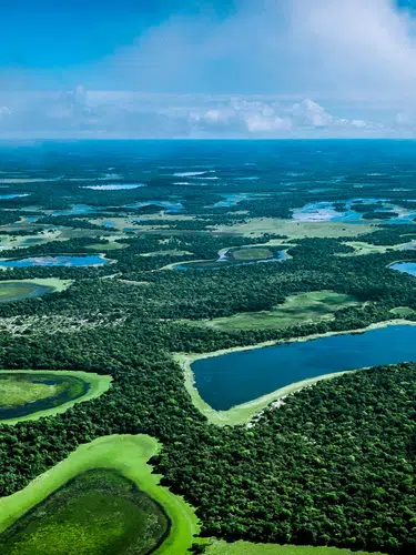 Naturparadies Pantanal