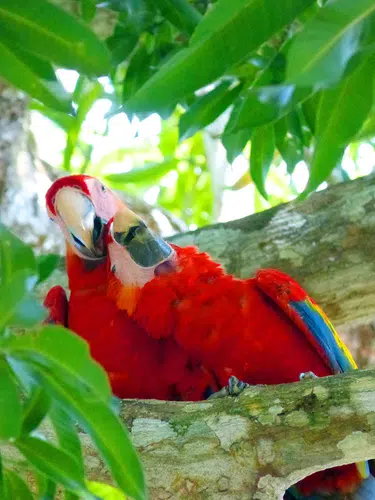 Naturparadies Costa Rica privat erleben