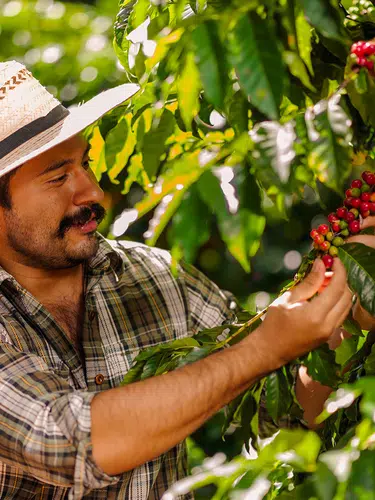 Costa Rica - im Herzen der Natur privat