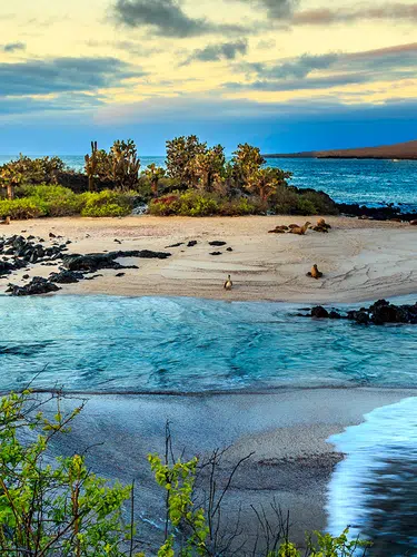 Galápagos auf die bequeme Art