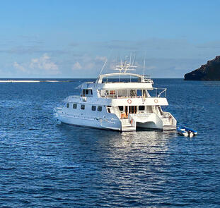 Galápagos mit dem Schiff entdecken