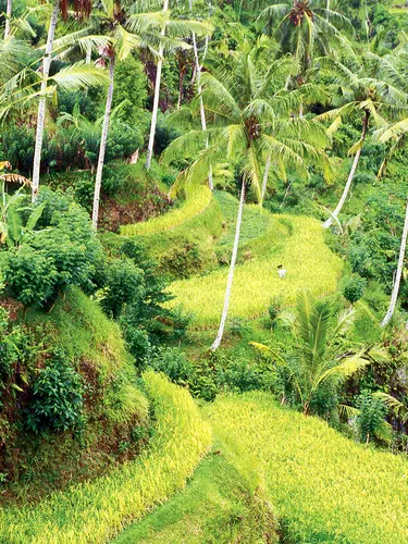 Singapur und Bali