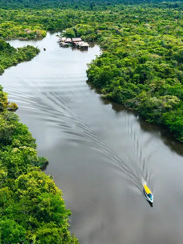 Posada Amazonas ─ Erlebnis Regenwald