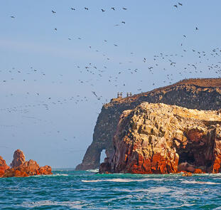 Paracas - Wüste und Meer