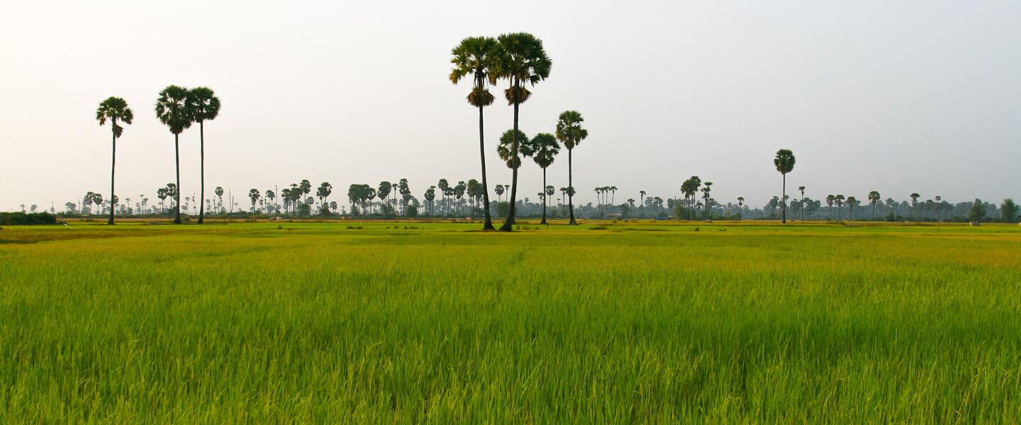 Faszination Vietnam und Kambodscha ─ privat Faszination Vietnam und Kambodscha ─ privat