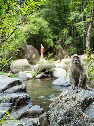 Naturwunder Khao Sok