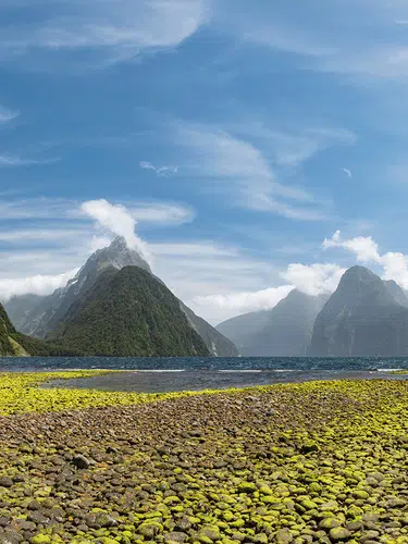 Aotearoa - Neuseeland intensiv für Selbstfahrer