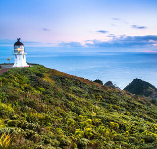 Bay of Islands ─ Inselwelt Neuseelands Bay of Islands ─ Inselwelt Neuseelands