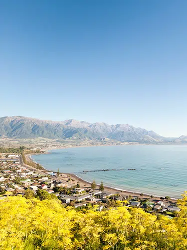 Kaikoura ─ den Walen ganz nah